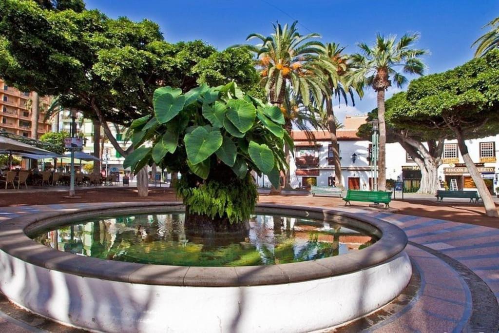 Centrico, Comodo Y Bello Apto En Puerto De La Cruz Екстериор снимка